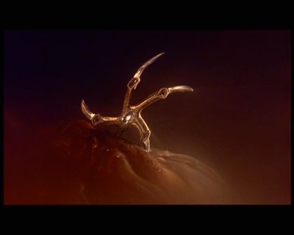 PDVD_2226.jpg