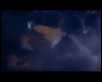 PDVD_2262.jpg