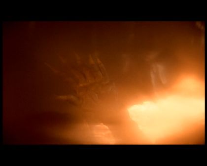 PDVD_2293.jpg