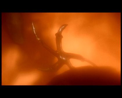 PDVD_2301.jpg