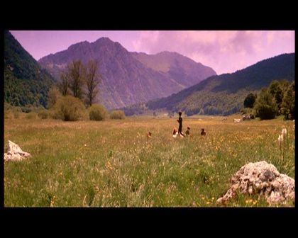 PDVD_2373.jpg