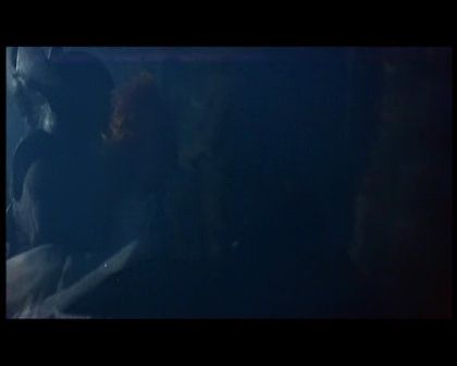 PDVD_284.jpg