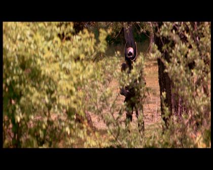 PDVD_679.jpg