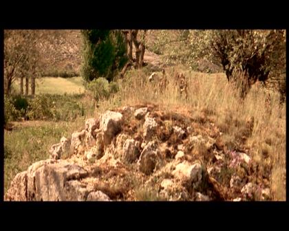 PDVD_701.jpg