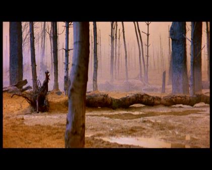 PDVD_896.jpg
