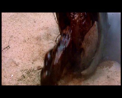 PDVD_973.jpg