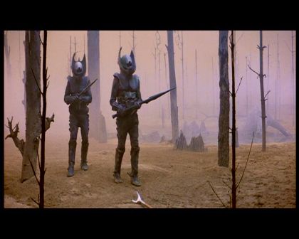 PDVD_980.jpg