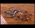 PDVD_1226