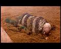 PDVD_1229