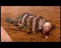 PDVD_1230