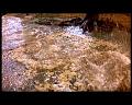 PDVD_1247