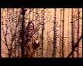 PDVD_1251