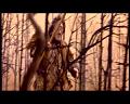 PDVD_1252