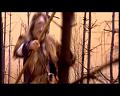PDVD_1253