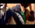 PDVD_1260