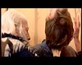 PDVD_1261