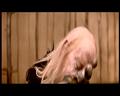 PDVD_1273