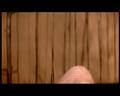 PDVD_1274