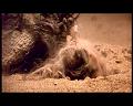 PDVD_1277