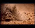 PDVD_1279