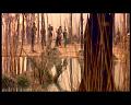 PDVD_1328