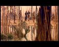 PDVD_1329