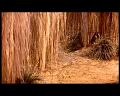 PDVD_1344