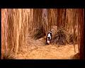 PDVD_1346