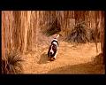 PDVD_1347