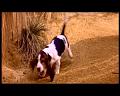 PDVD_1348