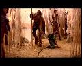 PDVD_1349