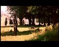 PDVD_1362