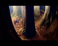 PDVD_1364