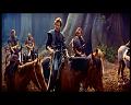 PDVD_1380