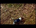 PDVD_1385