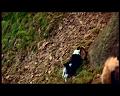 PDVD_1386