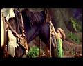 PDVD_1390