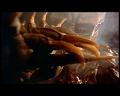 PDVD_1496
