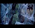 PDVD_1548