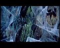 PDVD_1549