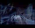 PDVD_1602