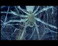 PDVD_1606