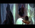 PDVD_1614