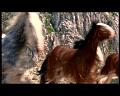 PDVD_1729