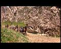 PDVD_1757