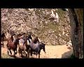 PDVD_1758