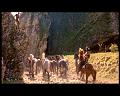 PDVD_1759