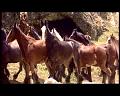 PDVD_1761
