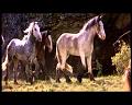 PDVD_1763