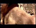 PDVD_1776